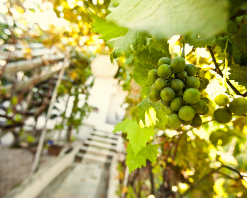 Namnlös design - 14